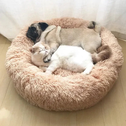 Two pets, a dog and a cat, are sleeping together on a fluffy pink pet bed.